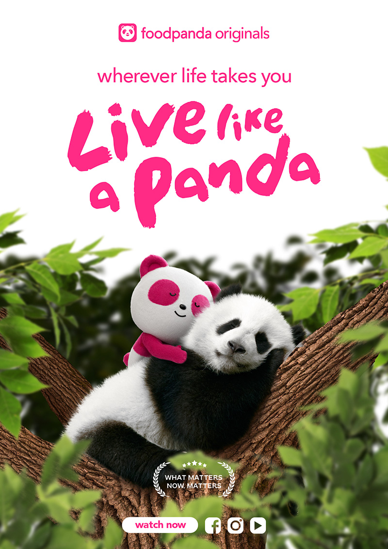 Live Like a Panda Poster